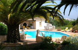 Swimming pool surrounded by palm trees